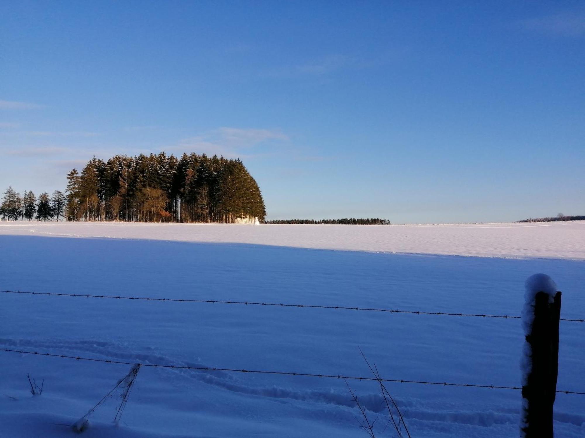 Sophisticated Holiday Home In Lierneux Near Forest 외부 사진